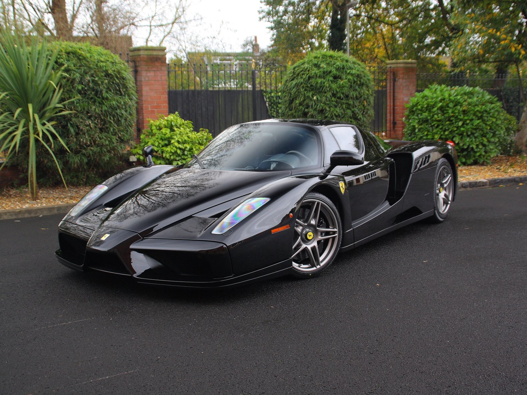 Ferrari Enzo (2111)